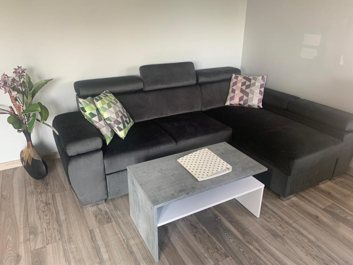 Klimatyzowany Apartament Z Miejscem Garazowym غوجوف فييلكوبولسكي المظهر الخارجي الصورة